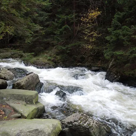 Blockhaus Bodefall 度假居 *