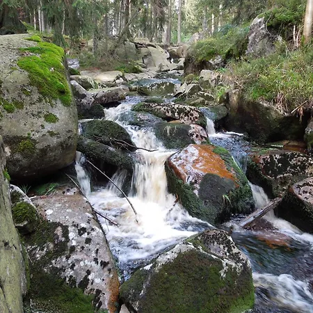 Blockhaus Bodefall 度假居 布劳恩拉格