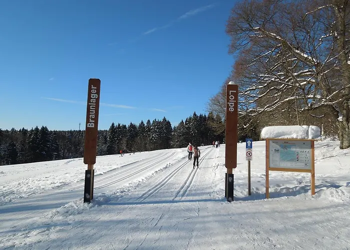 Blockhaus Bodefall 度假居 布劳恩拉格