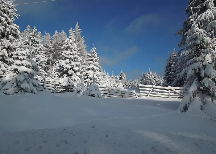 Blockhaus Bodefall 度假居 布劳恩拉格