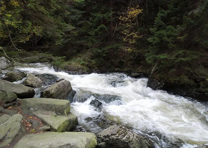 Blockhaus Bodefall 度假居 *