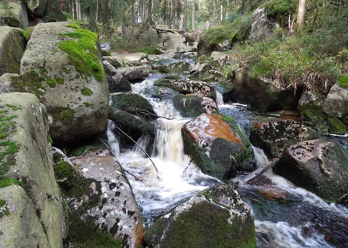 Blockhaus Bodefall 度假居 布劳恩拉格