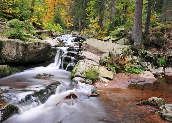 度假居 Blockhaus Bodefall *