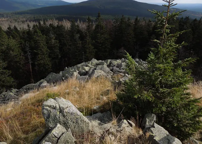 度假居 Blockhaus Bodefall 布劳恩拉格