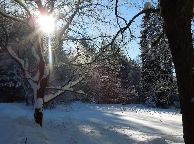 Blockhaus Bodefall 度假居 布劳恩拉格